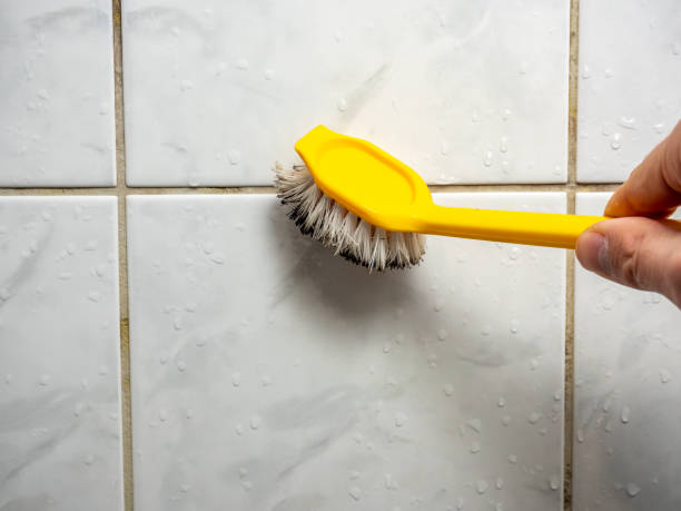 Best Bathroom Mold Remediation in Indianola, MS