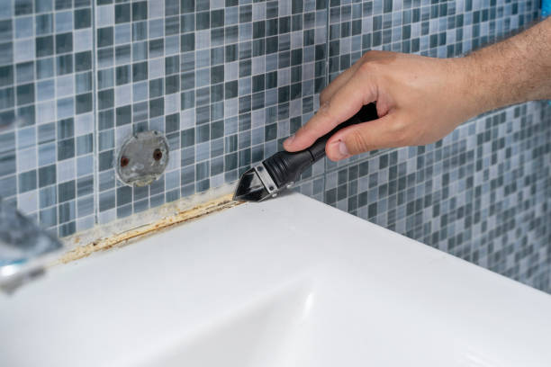 Best Insurance-Related Mold Remediation in Indianola, MS